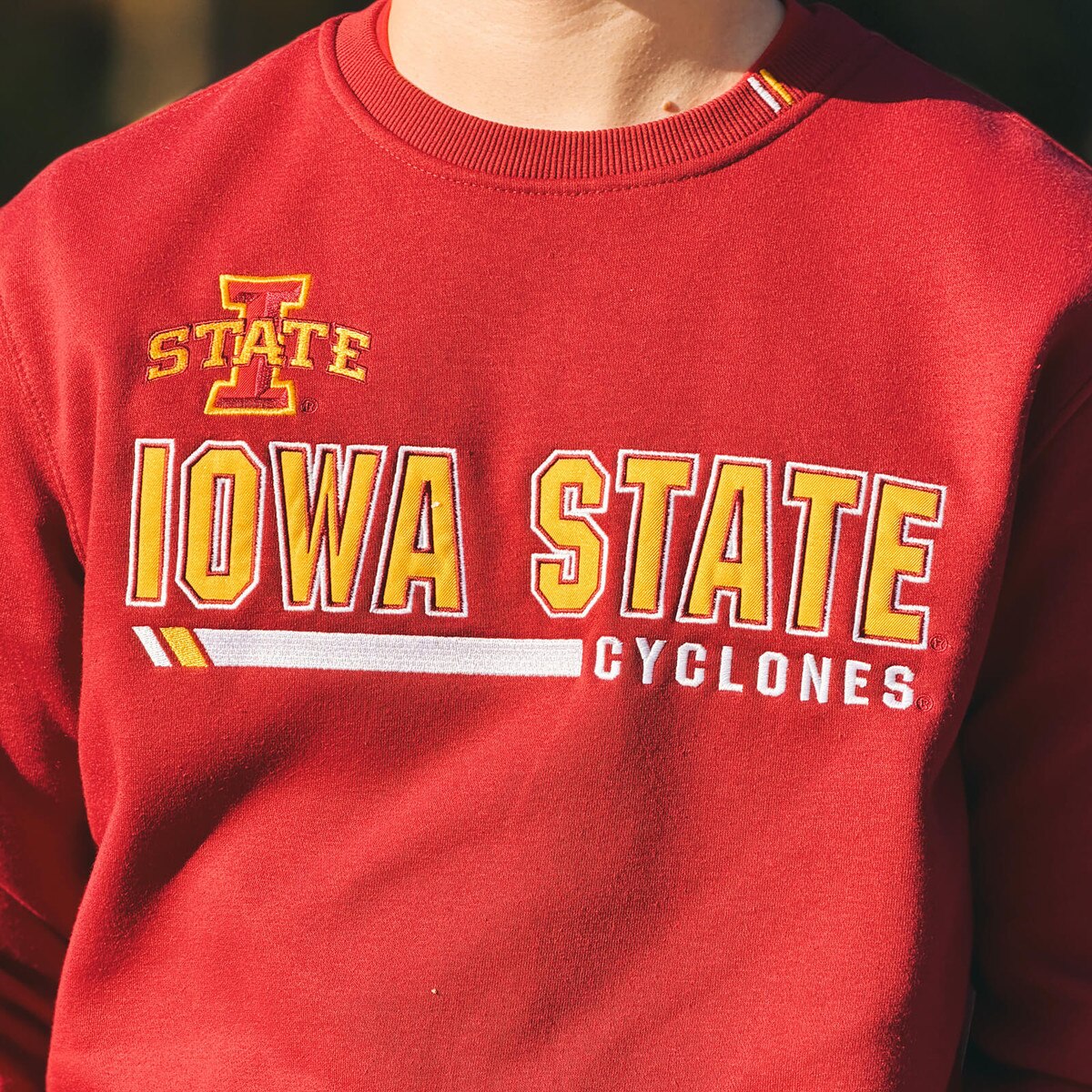 Colosseum I-State Cardinal Crewneck
